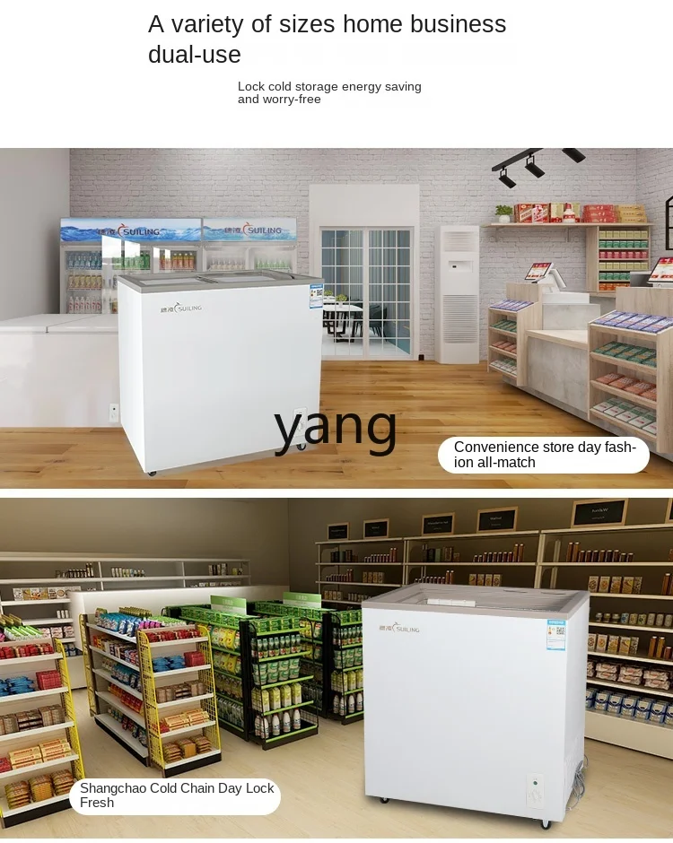 L'm'm Fresh-Keeping Quick-Freezing Low-Temperature Energy-Saving Storage Horizontal Refrigerated Display Big Freezer Commercial