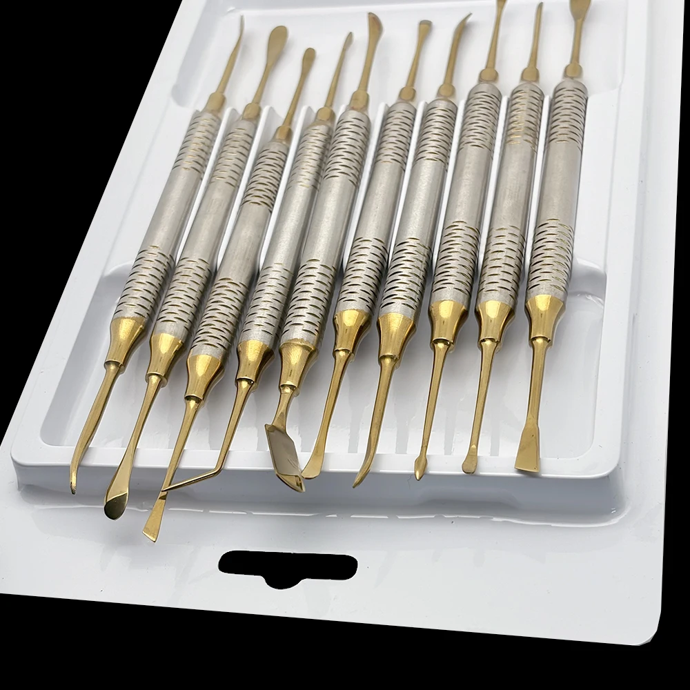 10 Stück Dentaler Periosteal-Elevator-Separator zum Reflektieren und Retraktieren – Implantat-Werkzeugset