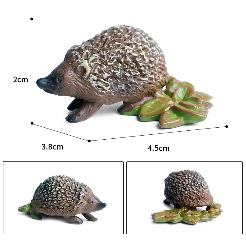 Hedgehog figure 4