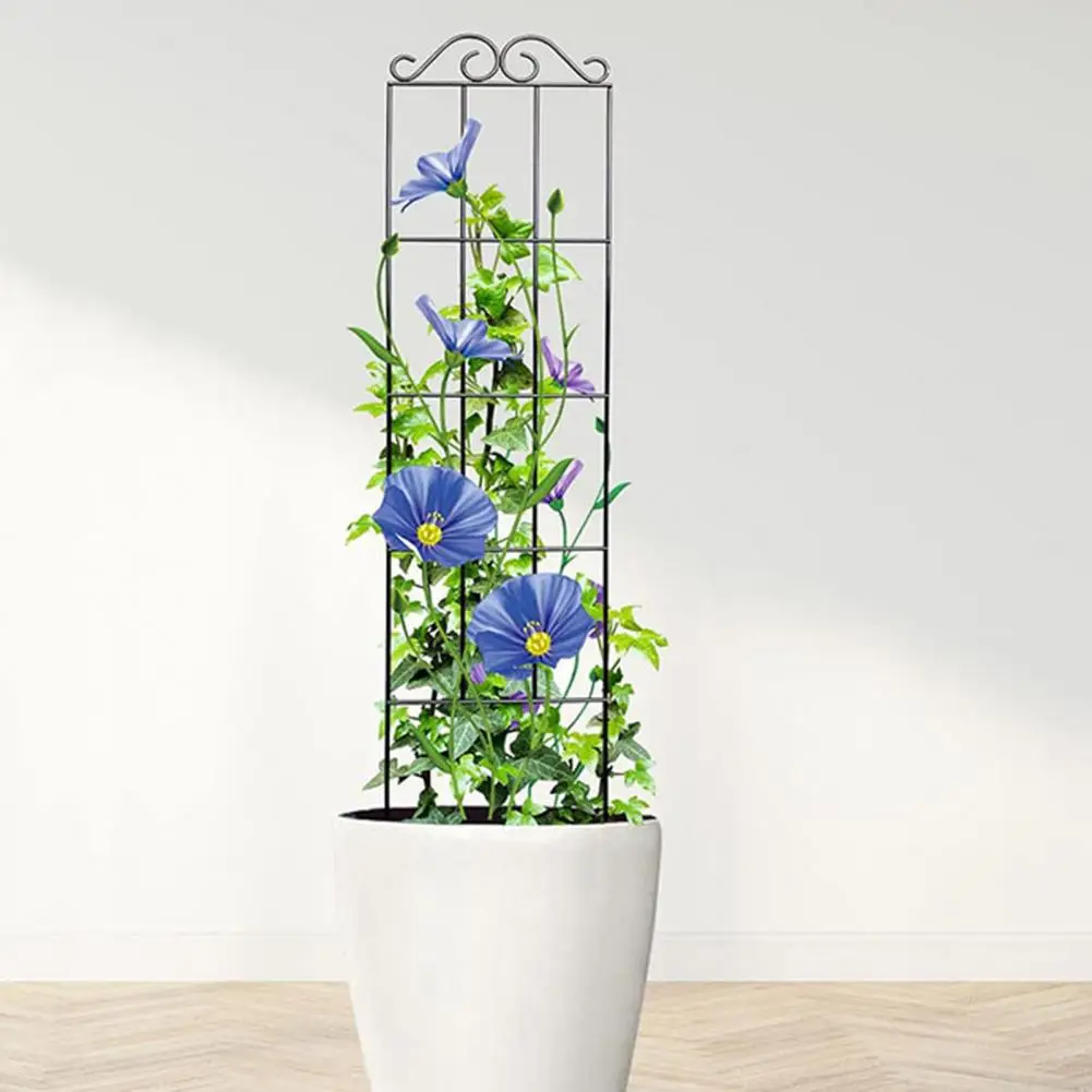 

Durable Plant Climbing Stand Metal Garden Trellis for Climbing Plants Easy Install Reusable Plant Support Stand for Outdoor