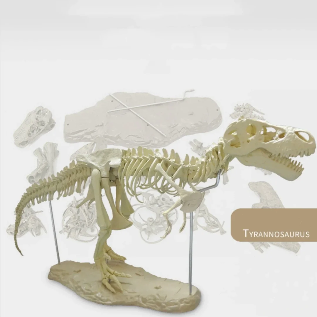 70cm Dinosaur Skeleton Toys Kits Simulation T-Rex Model Jurass