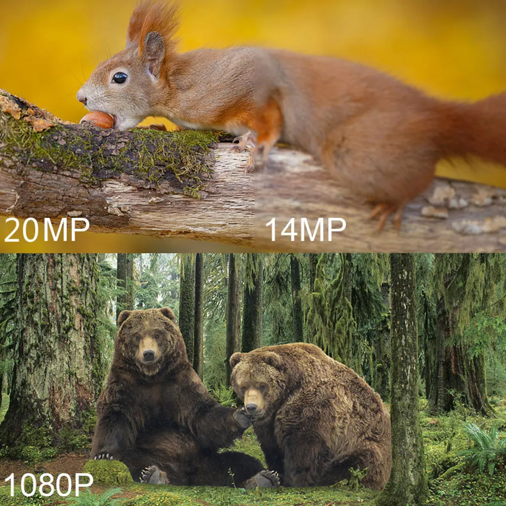 Slide image 370373fe5ae74704bdb558ed02f9454c