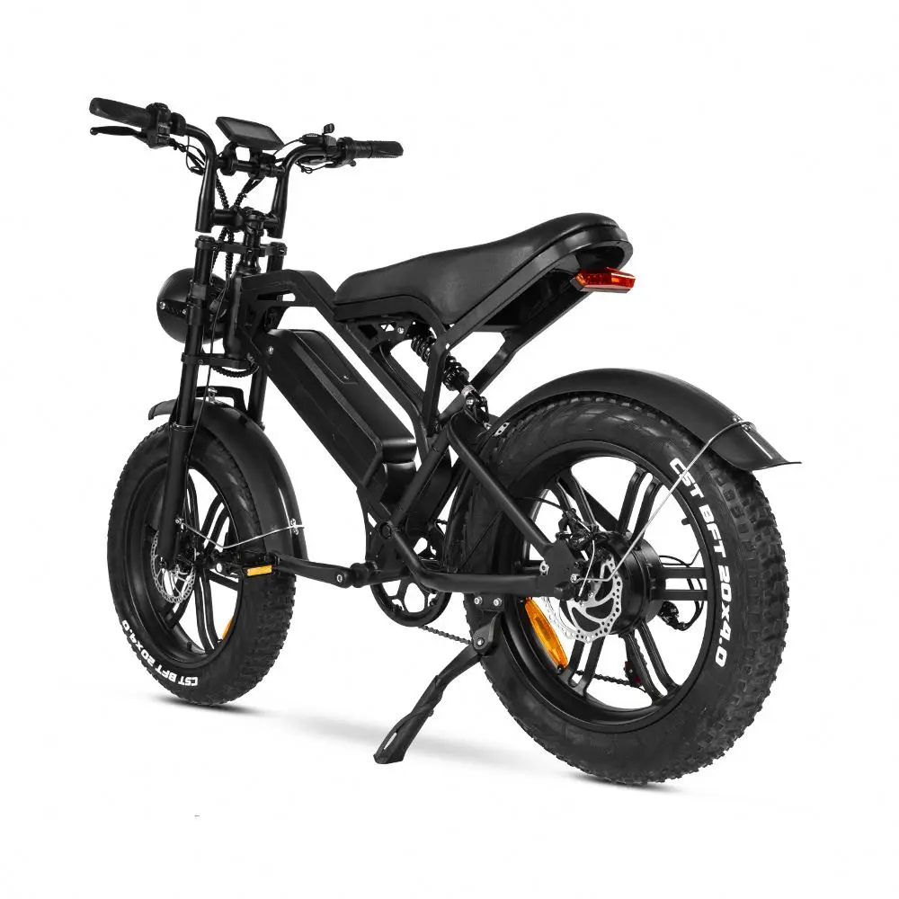 Buy Fasticycle Mountain Fatbike Fat Tire Ebike Eu Cheap 20inch Steel Lithium Battery LCD Displaycustom