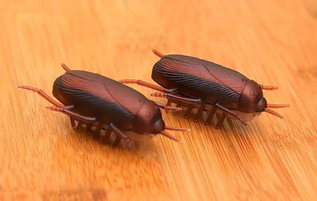 Battery-Powered Cockroach & Mouse Toy for Cats, Electronic Cockroach, Fun Cat Toy 6