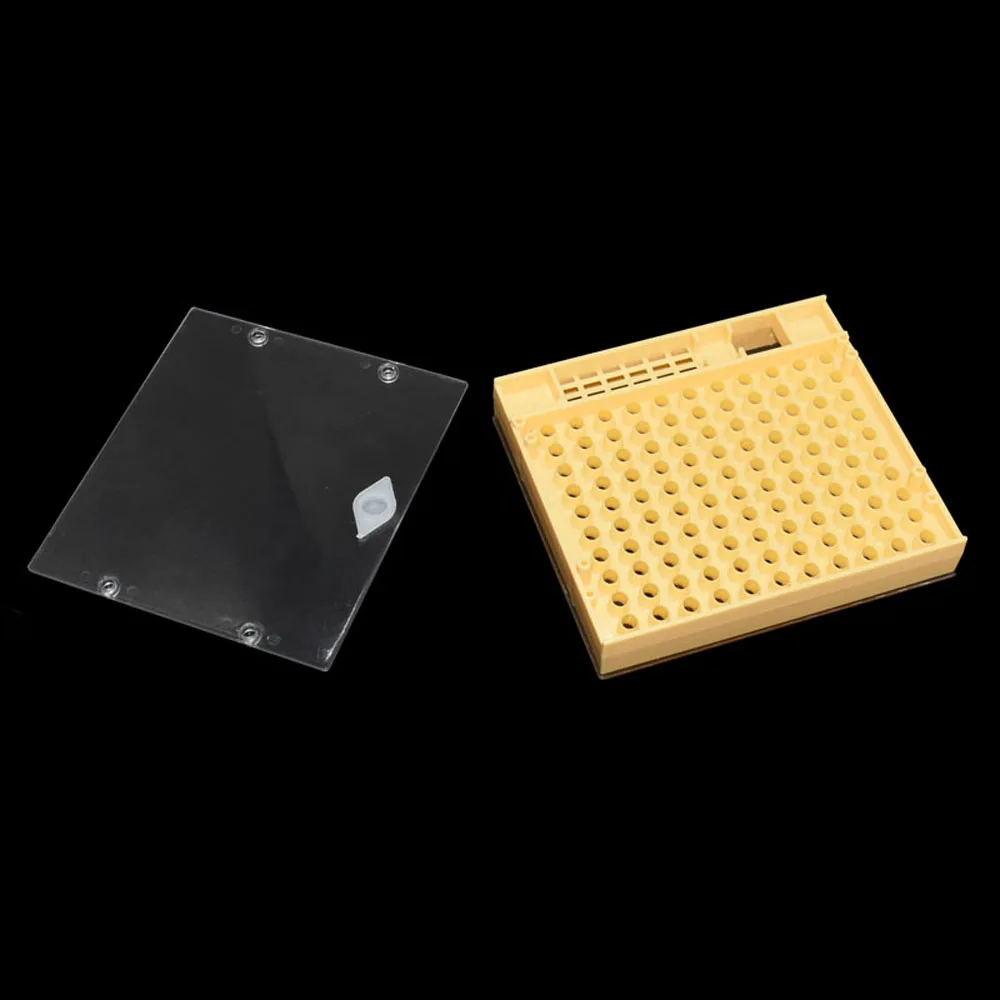 1 Pcs Beekeeping Equipment Tools Rearing Queen Bee Plastic Box Cage For Professional Beekeeper Apiculture Supplier