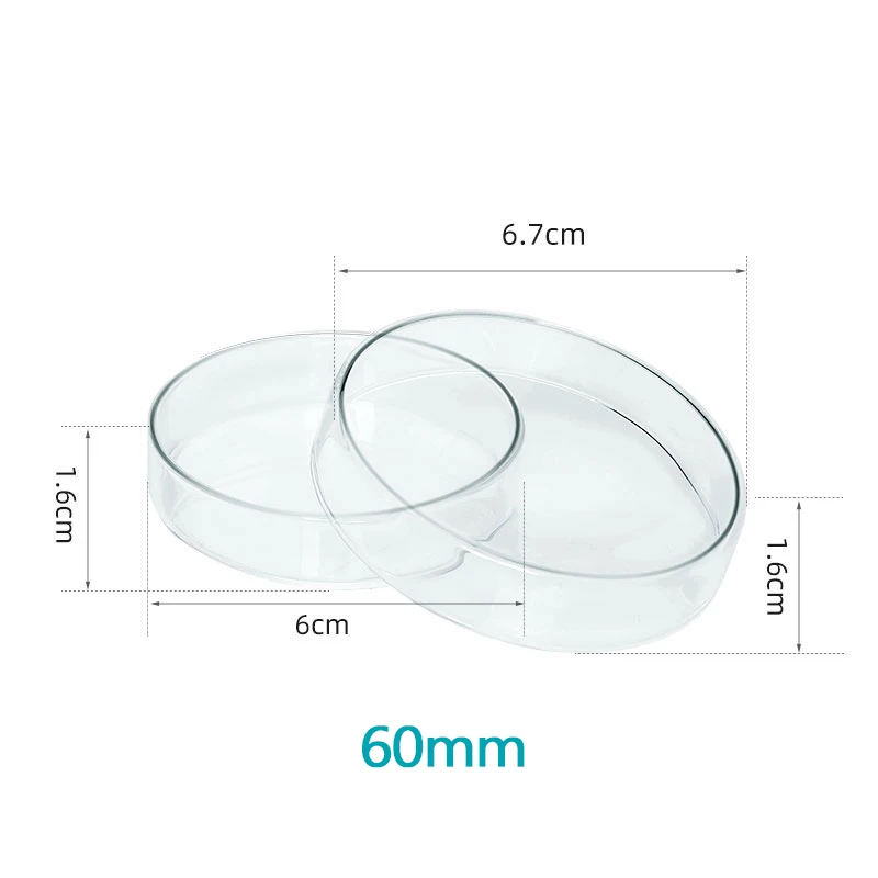 Laboratory Instruments Glass Culture Dishes Bacterial Cells High Borosilicate 60 75 90 100 120 150mm