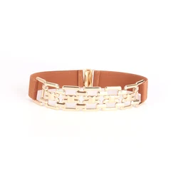 Gold Chain Buckle Decorative Elastic Belt for Women - Black Waist Accessory for Dresses and Shirts (Camel)