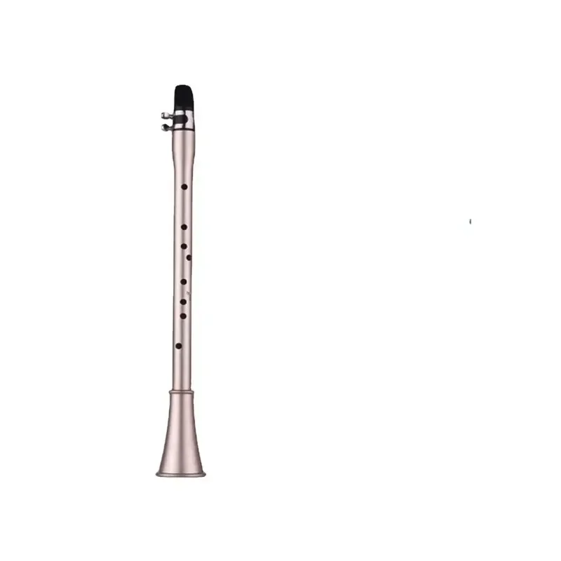 

Pocket Mini Portable Clarinet Saxophone Little Saxophone BE BB C D E F Key with Carrying Bag Woodwind Instrument Clarinete