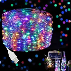 USB - Powered 50/100 LED Fairy Lights - Warm White, White, Multicolor - Ideal for Indoor/Outdoor Décor (RGB)