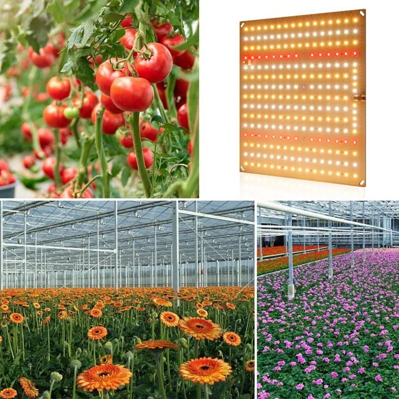 led-grow-light-per-piante-da-interno-phyto-lamp-quantum-seedling-grow-full-spectrum-board-grow-lights-50w