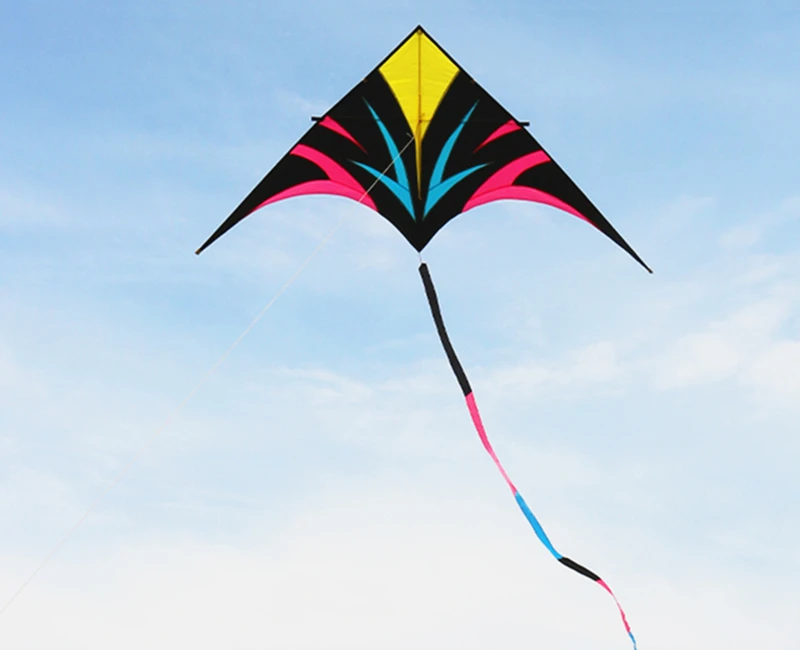 Professional quality kite with long wingspan