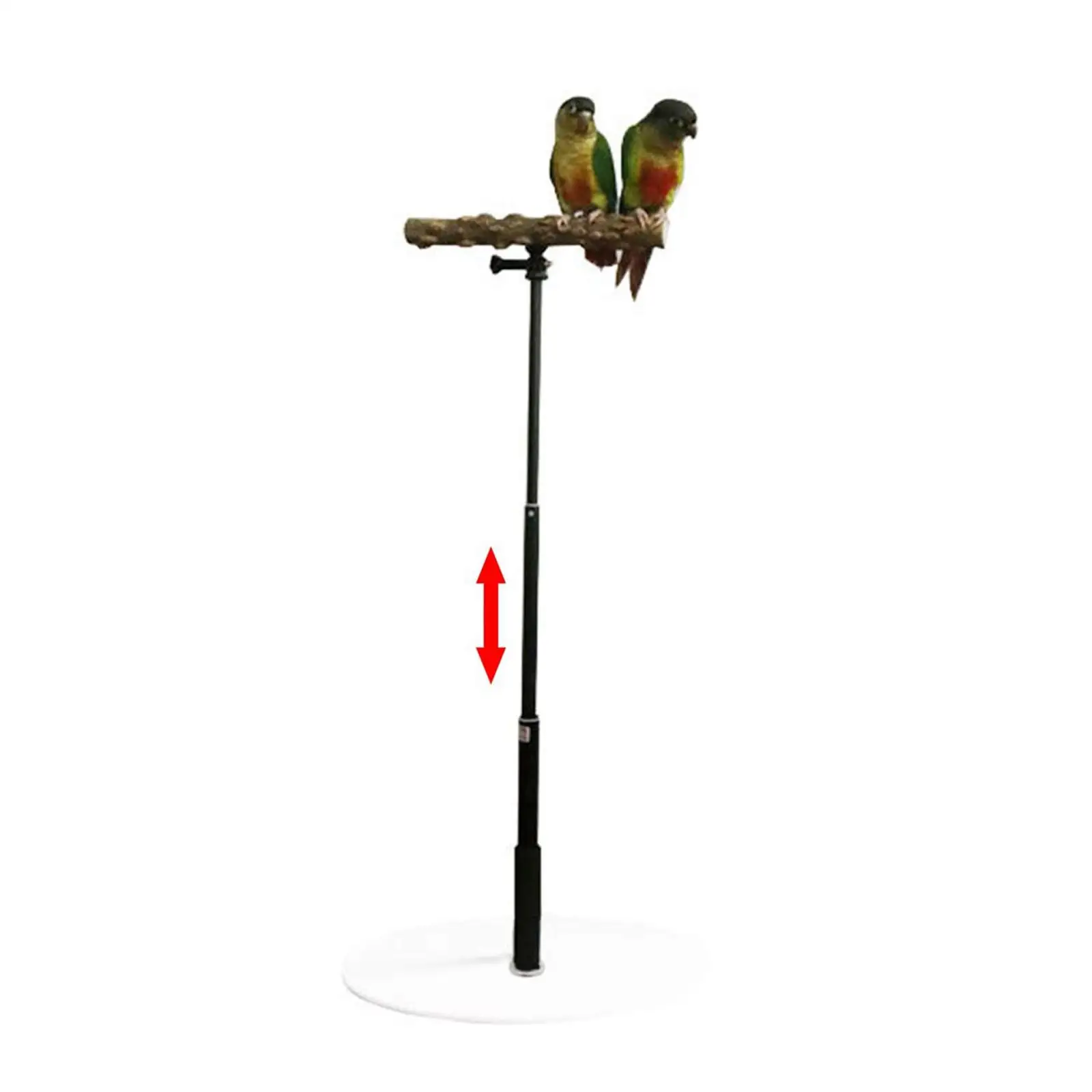 Bird Cage Perches Portable T Stand Parrot Training Resting with Base