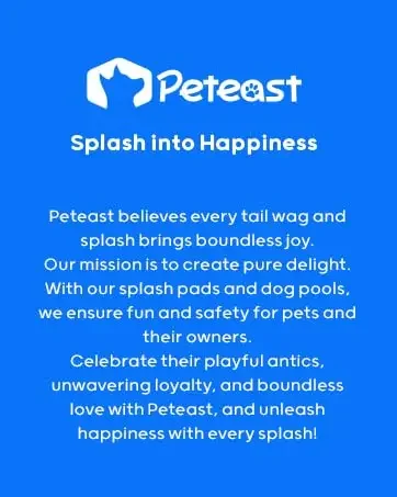 Dance with the dog splash pad, growing up in laughter, weaving the summer chapter of children's fun.