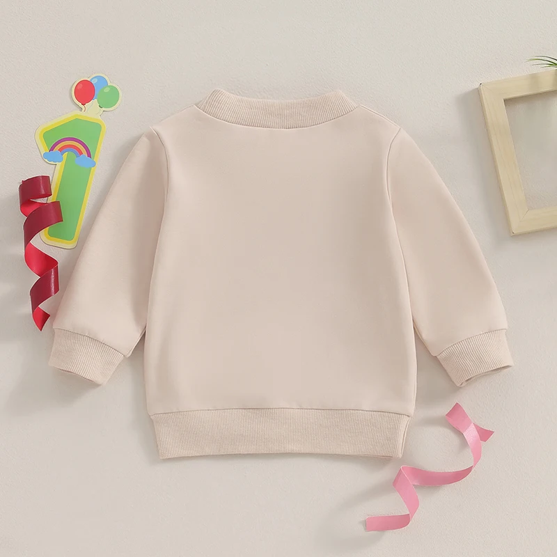 Infant Baby Boy Warm Sweatshirt Long Sleeve Round Neck Letter Embroidery Pullover Crewneck Shirt Tops for Winter Fall Clothes