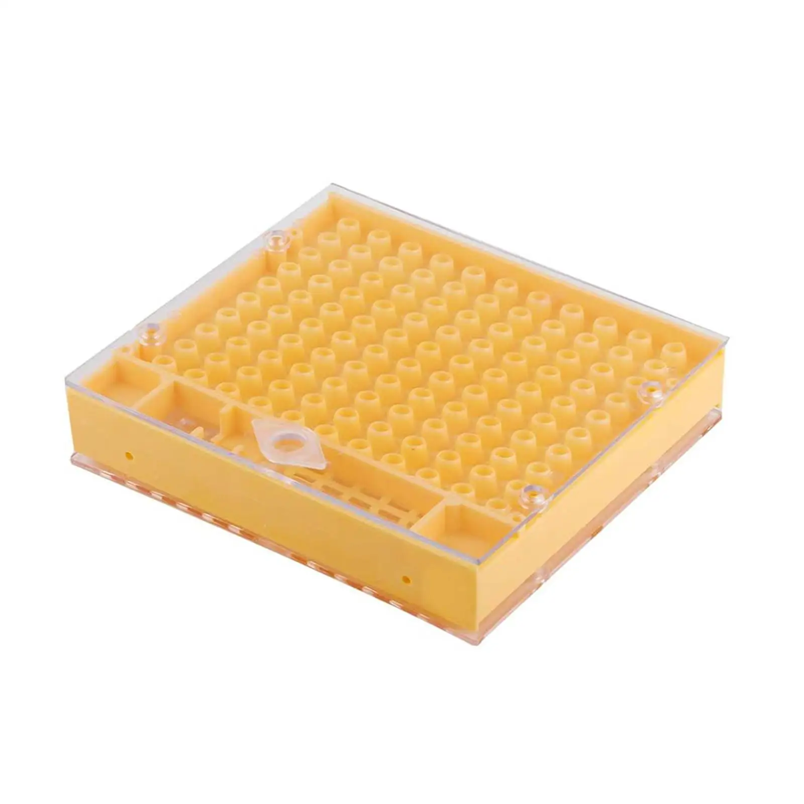 Queen Rearing Box Queen Bee Lay Eggs Cage Multipurpose Beekeeping Rearing Equipment for Outside Gate Apiculture Accessories