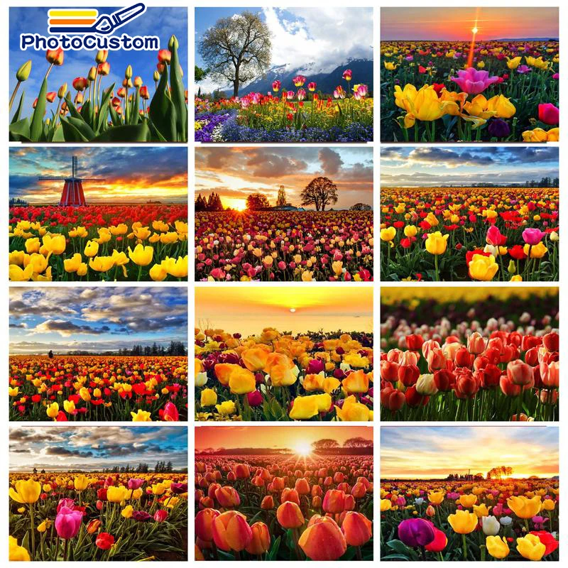

PhotoCustom DIY Painting By Numbers On Canvas Acrylic Paint For Adult Kit Drawing Tulip landscape Picture Of Coloring By Numbers