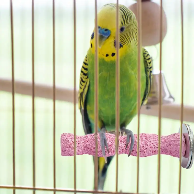 Bird Calcium Grinding Perch 2