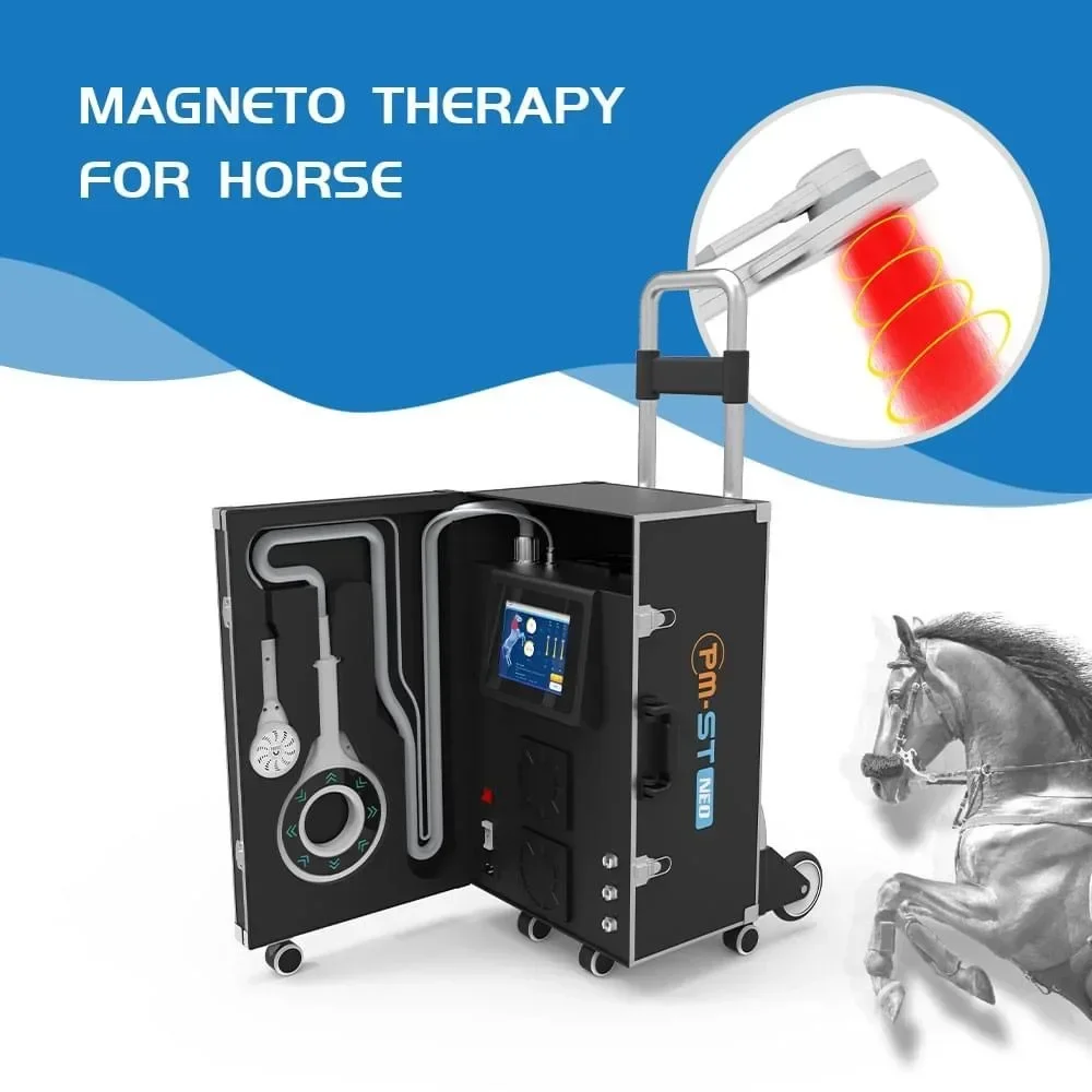 NIRS 재활 기계를 갖춘 말 수의사 Physio Magneto Hofmag 자기장용 PEMF