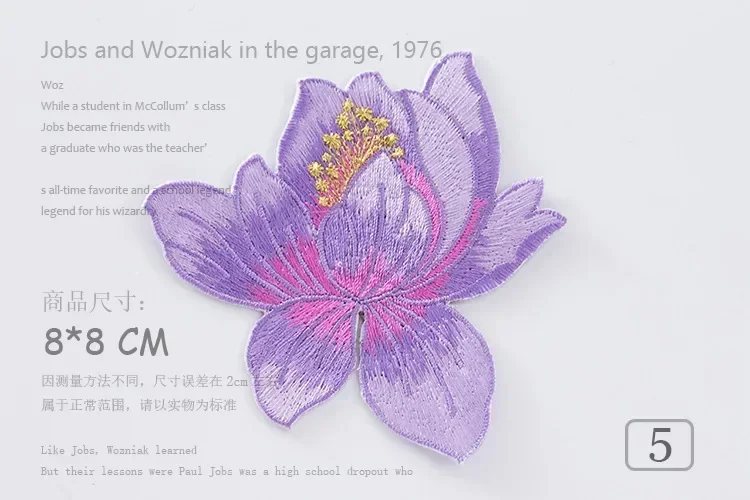 model 5