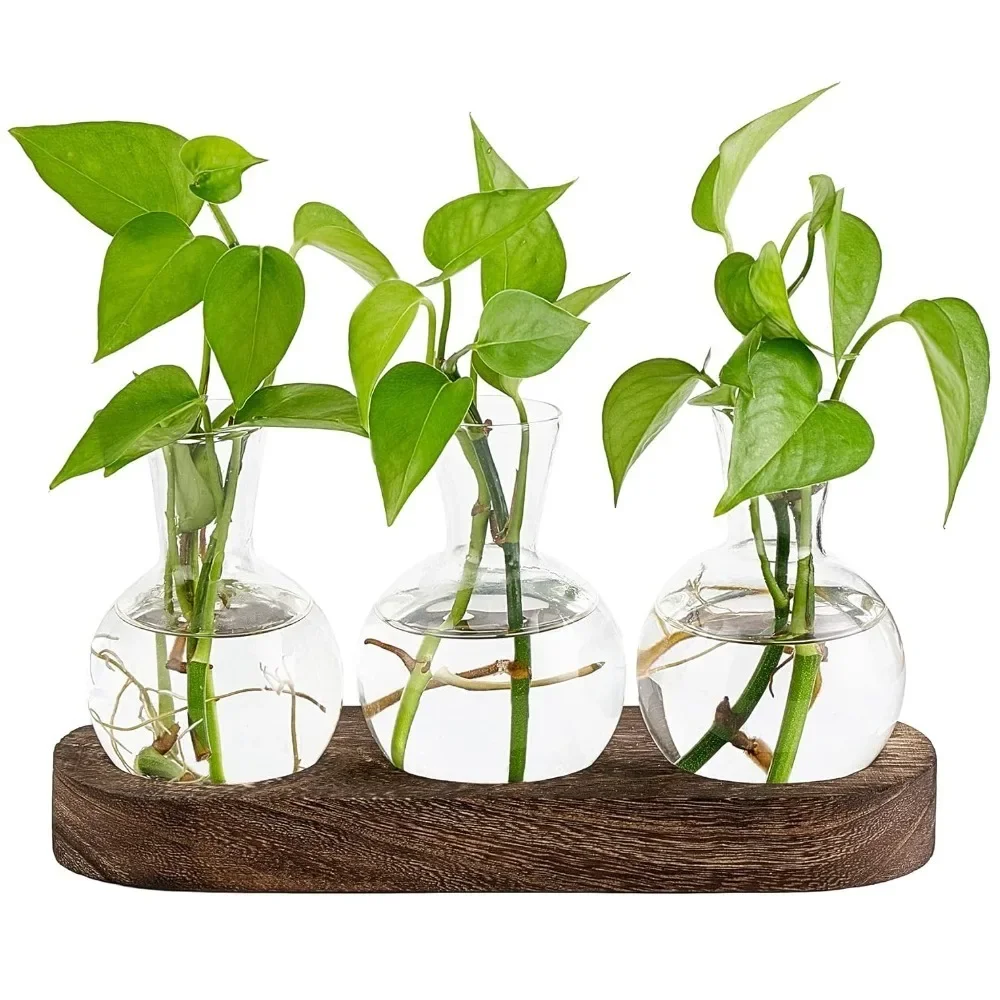 Modern Glass Terrarium with Wooden Tray - Decorative Desktop Plant Propagation Station & Home Decor Planter