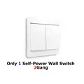 Only 1 Switch--2Gang