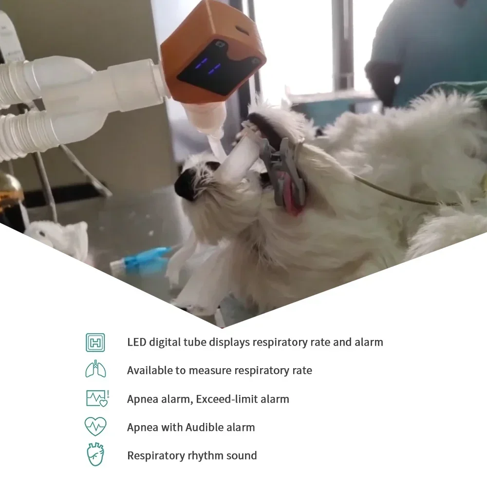 Animal Apnea Monitor Breathing Safe Respiratory Monitor Anesthetic Monitoring Ve