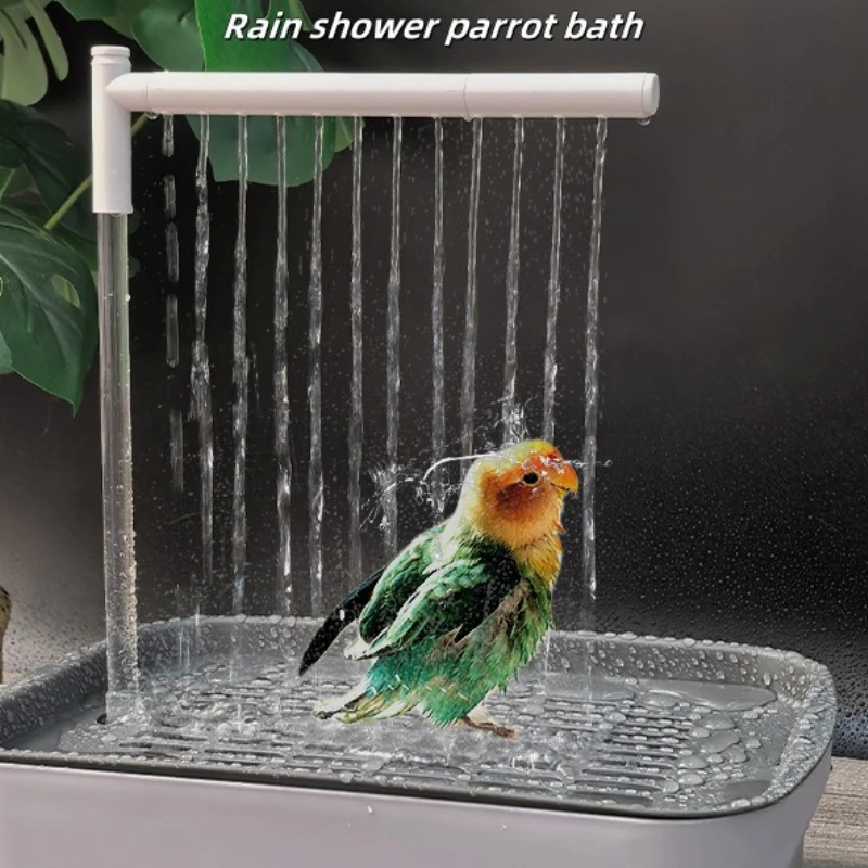 White automatic bird shower basin with water, designed as a daily bathtub for parrots.