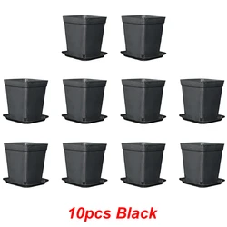 Set of 10 Black Square Succulent Plant Pots with Trays for Home and Office Decor (10pcs Black)