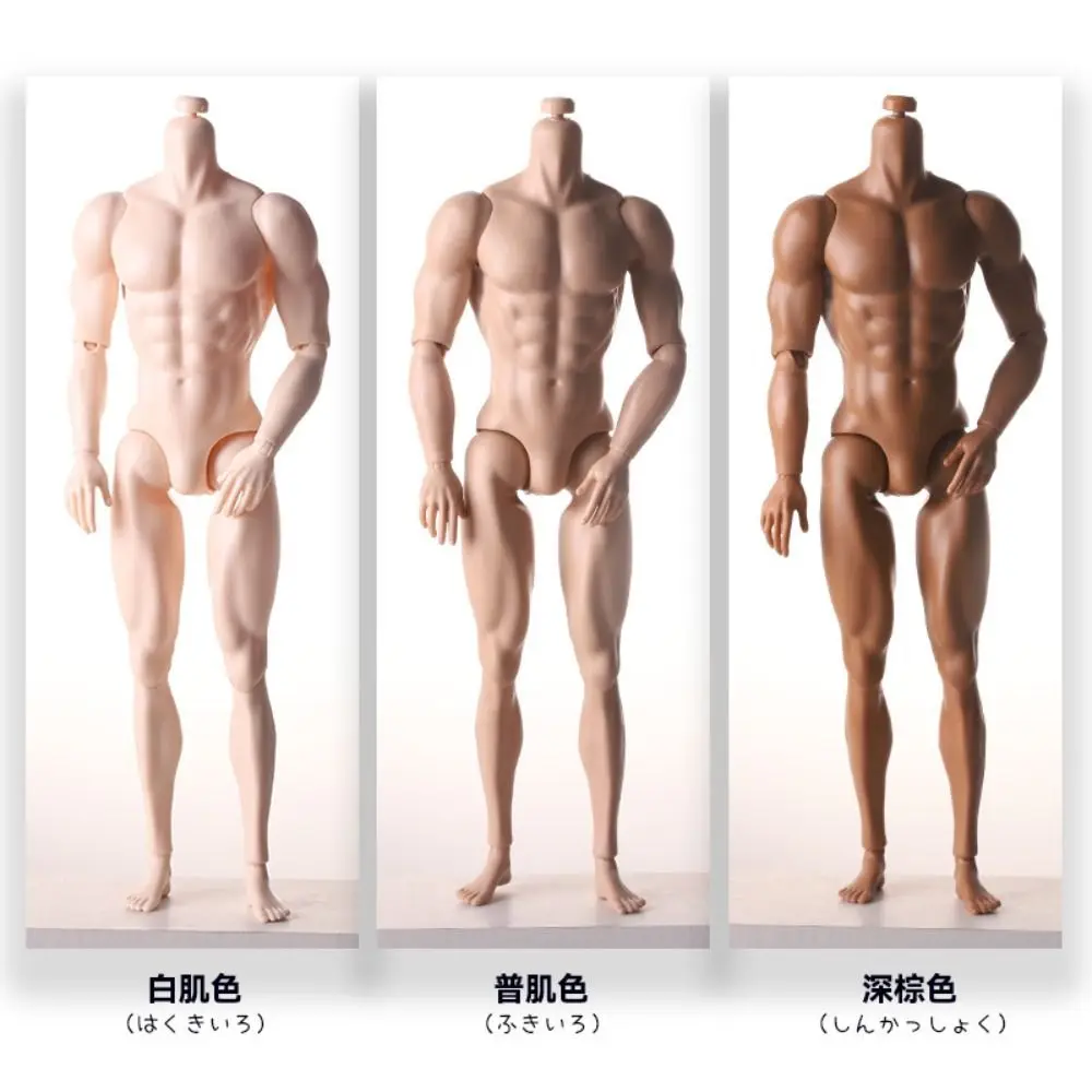 31cm Height 1/6 Male Body Joint Movable Strong Man Male Model 13 Joint White Normal Tan Action Figure Body For Children