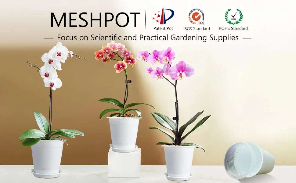 Description Picture 2 of itemMeshpot 4 inch/10cm Clear Orchid Pots with Holes Match White Plastic Orchid Planter Double Layer Plant Nursery Pots for Succulen