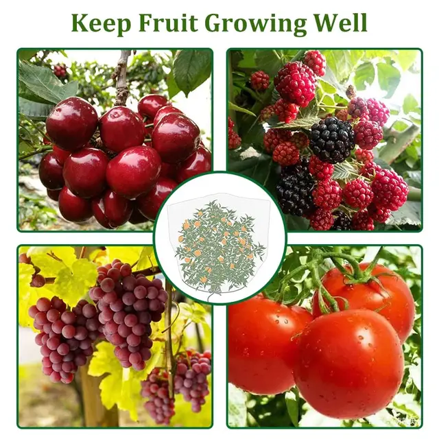 Kerti Növényi Gyümölcsök Védelme Hálószálas Táskák Húzószállító Hálógáttagok Zöldségekhez Paradicsom Gyümölcs Fa - Image 6