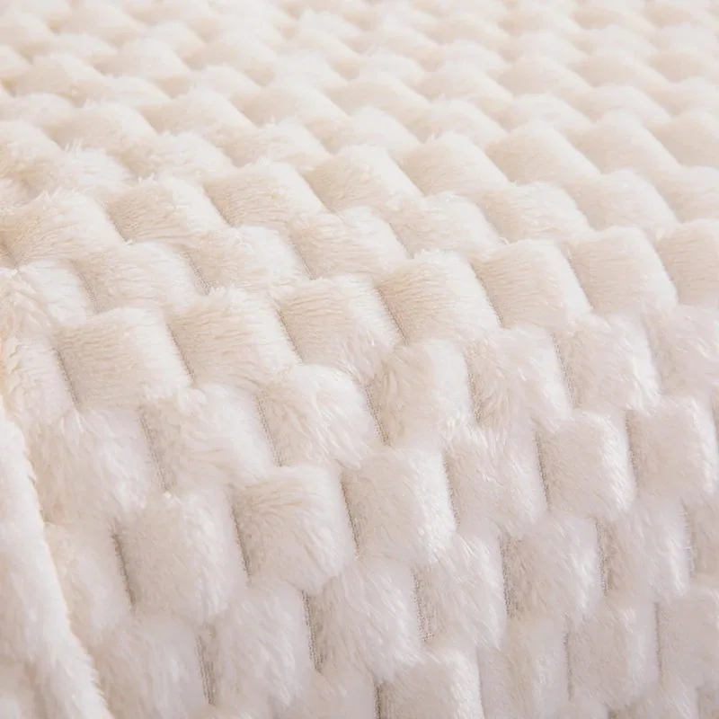 ���� �β��� Farai ���� ������ ������ ���� ���� �ؼ��� ���, ���� �繫�� Ŀ�� ���, ��̿� ���� ���