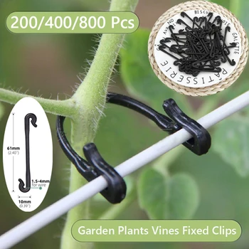 200-800 Pcs Garden Plants Vines Fixed Clips Tied Buckles Lashing Hook Kiwi Grape Cucumber Tomato Stems Fastener Gadgets Grafting