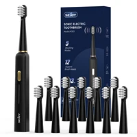 Sejoy Electric Toothbrush 5 Modes USB Rechargeable 12 Replacement Toothbrush Heads  Adult Ultrasonic Teeth Cleaning 1