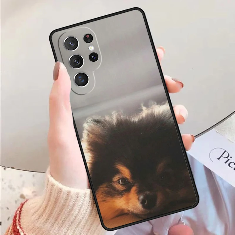 ポメラニアンの子犬のスマホケース、Samsung Galaxy S23 S24 S25