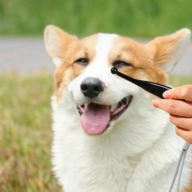 Pet Tear Stain Remover Brush Mini Dog Tear Brush Stain Comb Pet Eye Cleaning Pets Grooming Comb pet hair brush