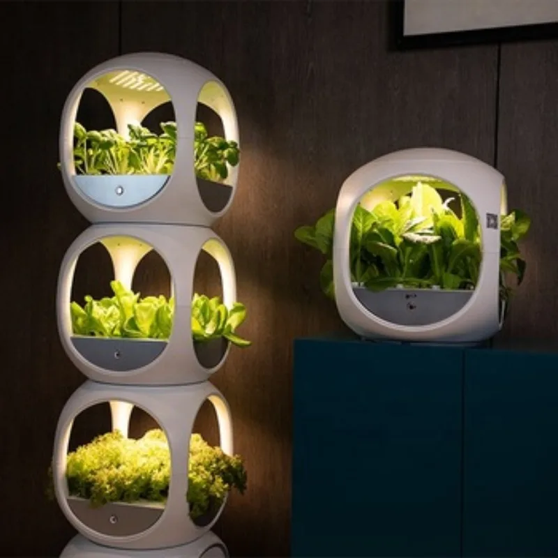 

Hydroponic Growing Water system for lettuce hydroponic vertical growing system