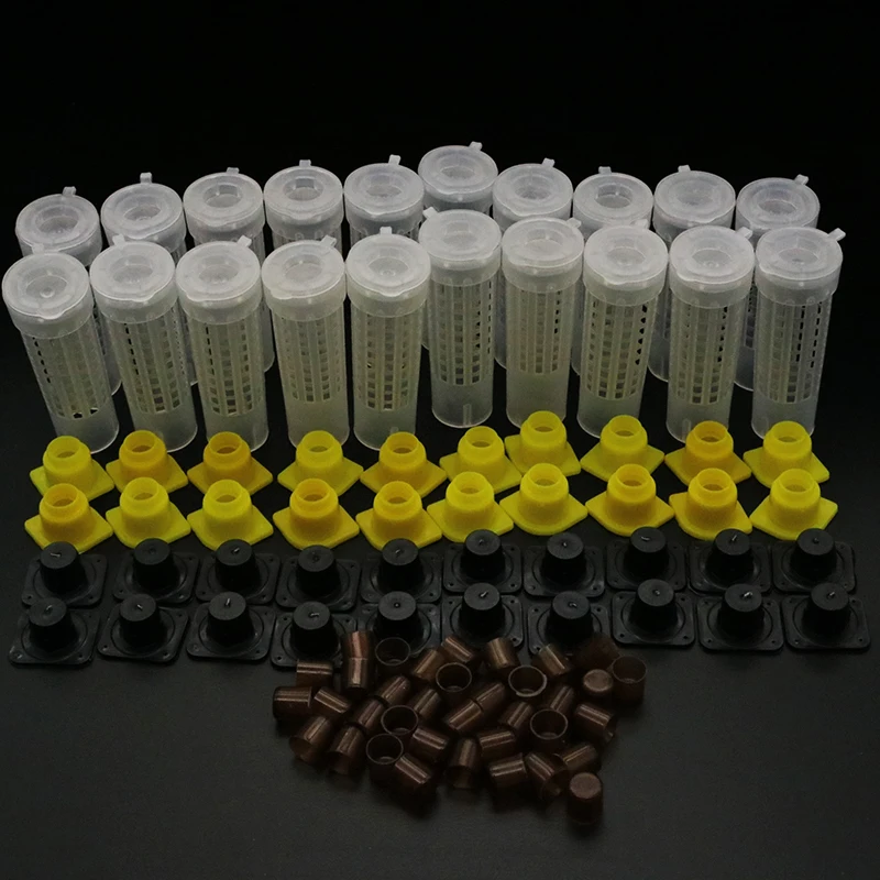 여왕벌 바늘 케이지 양봉 장비, 양봉 사육 용품, 플라스틱 컵 캐처, 5 개 8 양봉 케이지 킹 퀸 양봉 컵 키트 시스템, 양봉 캐처 박스 셀 컵 케이지, 니코 컴플리트 키트