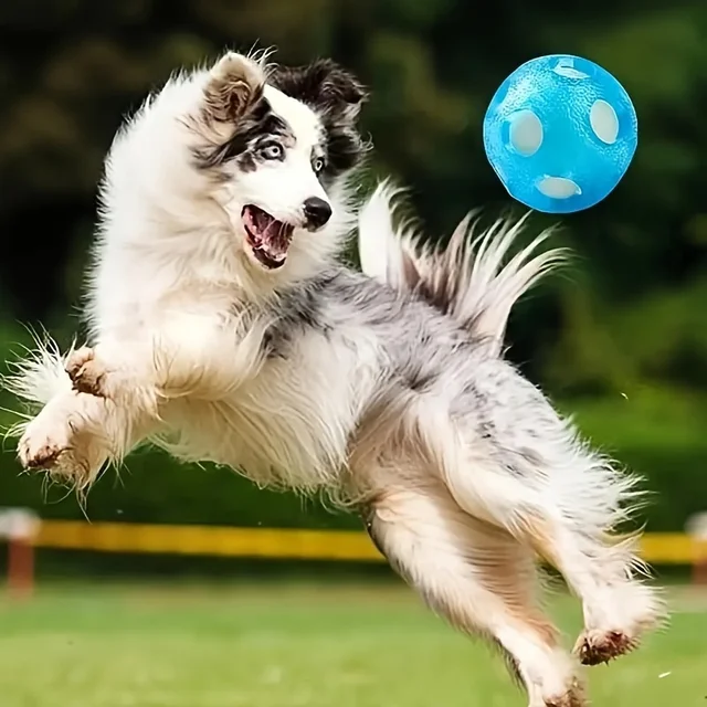 1pc Floating Ocean Ball, Dog Toy Ball Chase Water Play Dog Toy Ball, TPR Interactive Dog Toy Ball Floating Water Ball 3