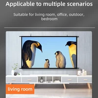 VEIDADZ Projector Screen Wall Mounted Grey Anti-Light Resistant Reflective Fabric 60 84 100 120 inch for Home Theatre Outdoor - Image 6