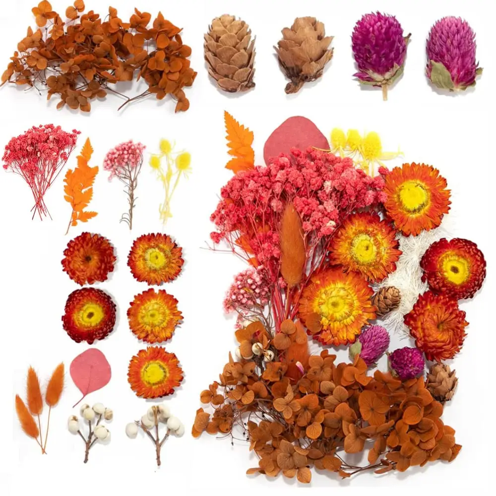 

Epoxy Dried Fower Decorative Real Dried Flower Leaves Natural Dried Flowers Bouquet for DIY Jewellery Crafts Nail Art Scrapbooks