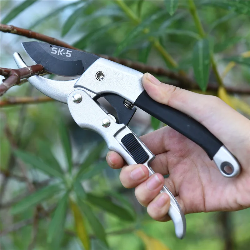 

20cm terrace scissors, hand pruning, branch scissors, gardening tools, pruning plants and gardening