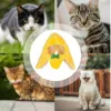 Fashion Pet Headwear Cute Banana Shape Hat With Bow Soft Comfortable Pet Headpiece Pet Cat Clothing Accessories Pet Supplies 2
