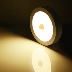 Elegant LED Ceiling Lamp with PIR Motion Sensor for Versatile Indoor Lighting (Warm White)