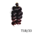 T1B 33