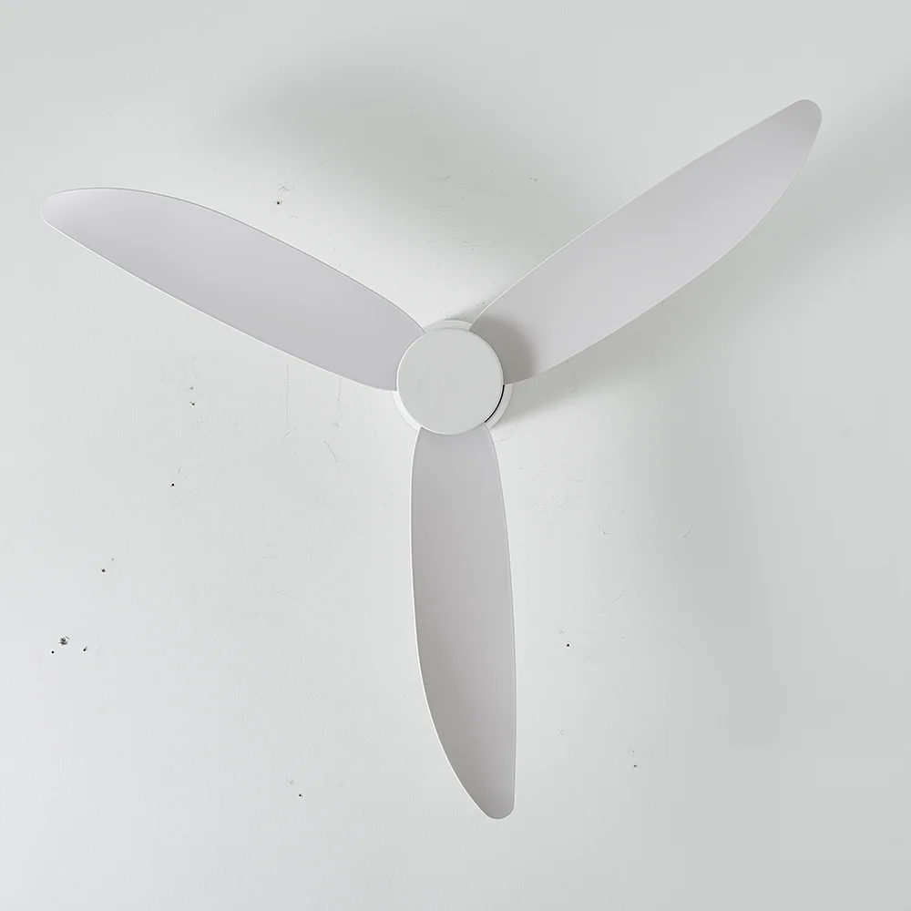 Ceiling Fan No Light 36 42 52 Inch DC Motor Remote Control Cooling Fans Lamp Low Floor Ceiling Fan White Black Color FAN 6