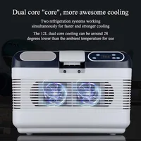 Réfrigérateur 12L voiture et maison réfrigérateur à double usage petit réfrigérateur froid et chaud réfrigérateur à double énergie 3