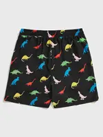 Men's beach shorts Dinosaur pattern 3D Printed  Board Summer Swim Trunks Elastic Waist Drawstring Hawaiian Style 1