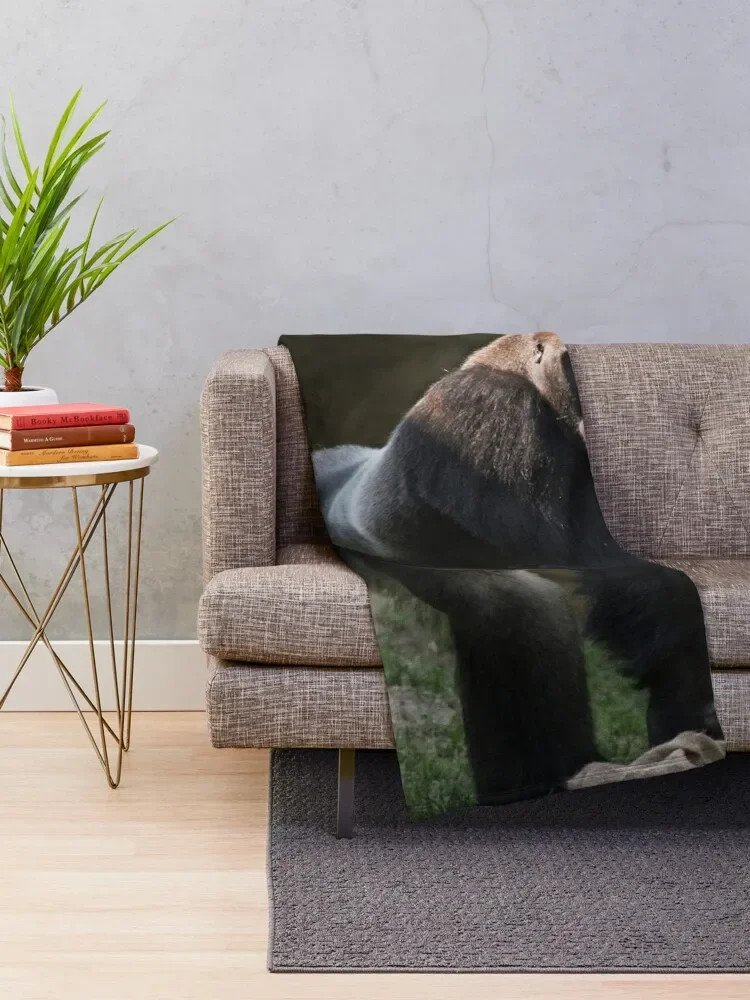 ġ�� ������ ���, �Ͽ��� ���� ���