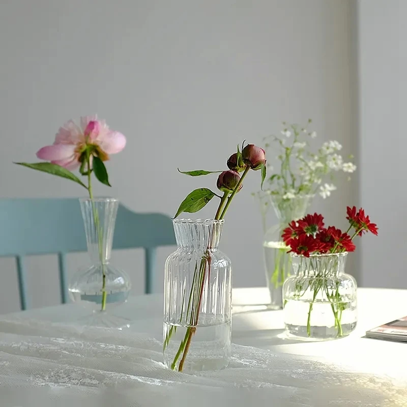 Nordic Creative Transparent Hydroponic Terrarium Vase